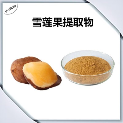 清潤雙鮮 雪蓮果提取物與龍眼的滋養(yǎng)搭配