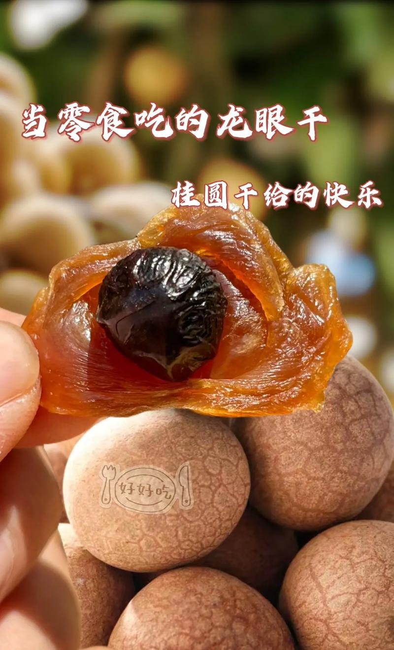 桂圓干的暖意 關(guān)于味道、記憶與傳承的愛
