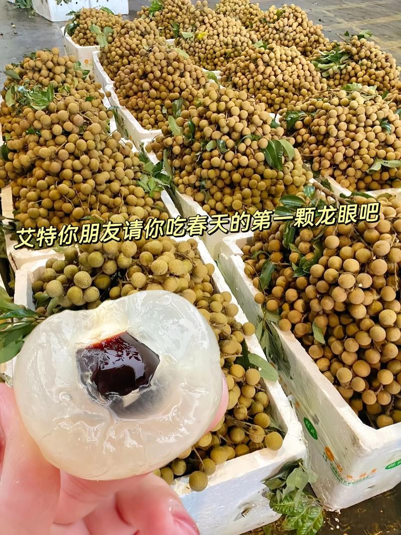 龍眼 #誰知道這是什么 #快來一起嘗個鮮 #優(yōu)質(zhì)農(nóng)產(chǎn)品. - 抖音